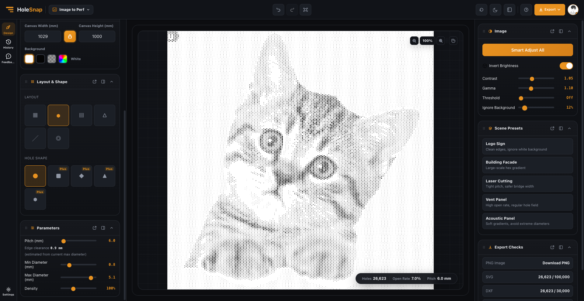 Cat photo converted into a live perforation preview